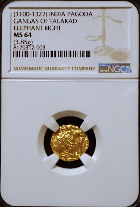 ��������ɡ�����ī�Υѥ������MS64�����