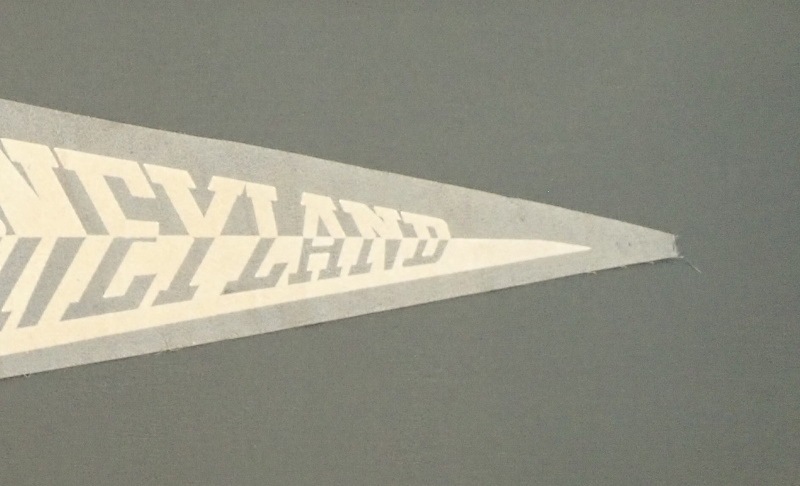 �ǥ����ˡ��Υ�����ơ������ڥʥ�ȣ����ʳ����Ѥߡ�