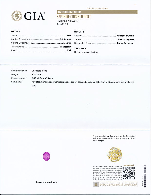 �ߥ��ޡ��������Ǯ�Υԥ󥯡����ե���������1.15����åȡ�