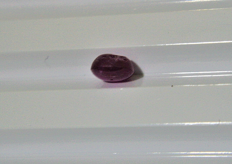 �ߥ��ޡ�����̵�����Υ��������ե�������0.89����åȡ�