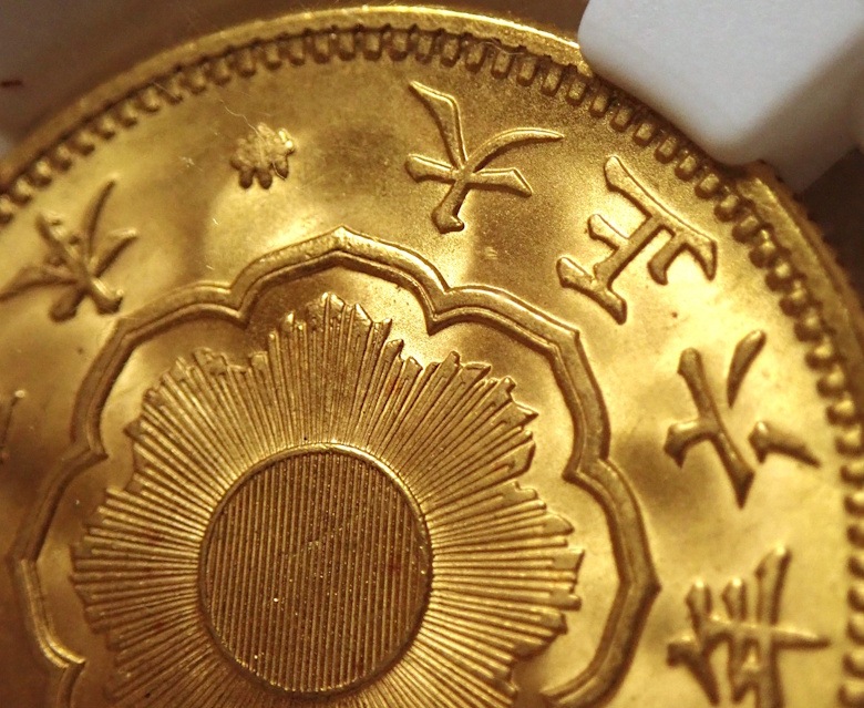 ����6ǯ����20�߶��MS66�����