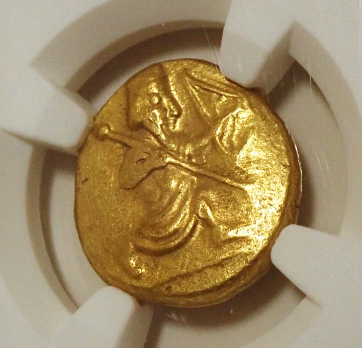 ���奢����ͥ�ī�ڥ륷��������å����BC5���������벦��