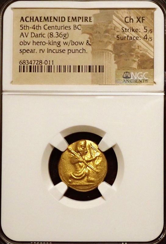 ���奢����ͥ�ī�ڥ륷��������å����BC5���������벦��