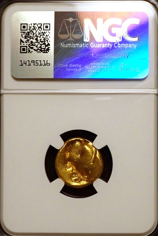 ���奢����ͥ�ī�ڥ륷��������å����BC5���������벦��