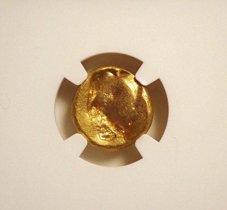 ���奢����ͥ�ī�ڥ륷��������å����BC5���������벦��