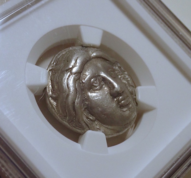 �����ɥ��祫�ꥢ���ƥȥ�ɥ饯�ޡ�BC316��305ǯ��