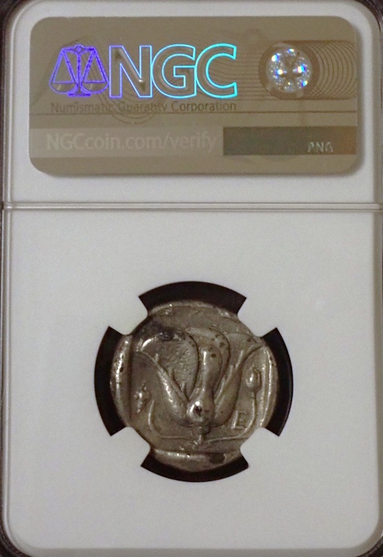 �����ɥ��祫�ꥢ���ƥȥ�ɥ饯�ޡ�BC316��305ǯ��