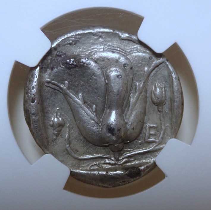 �����ɥ��祫�ꥢ���ƥȥ�ɥ饯�ޡ�BC316��305ǯ��