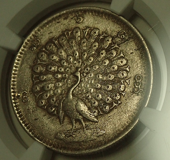 �ߥ��ޡ�1852ǯ��1����åȶ�ߤι����MS61��KM-10