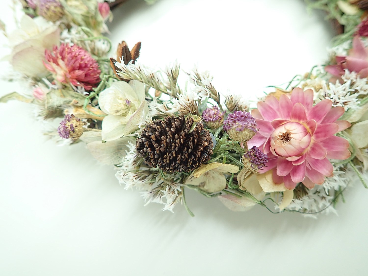 إꥯꥵȾ֤Υ꡼17ѡ