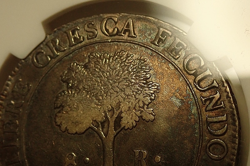 �������ꥫ��1829ǯ���쥢���ߡ�����ե�ȡ���