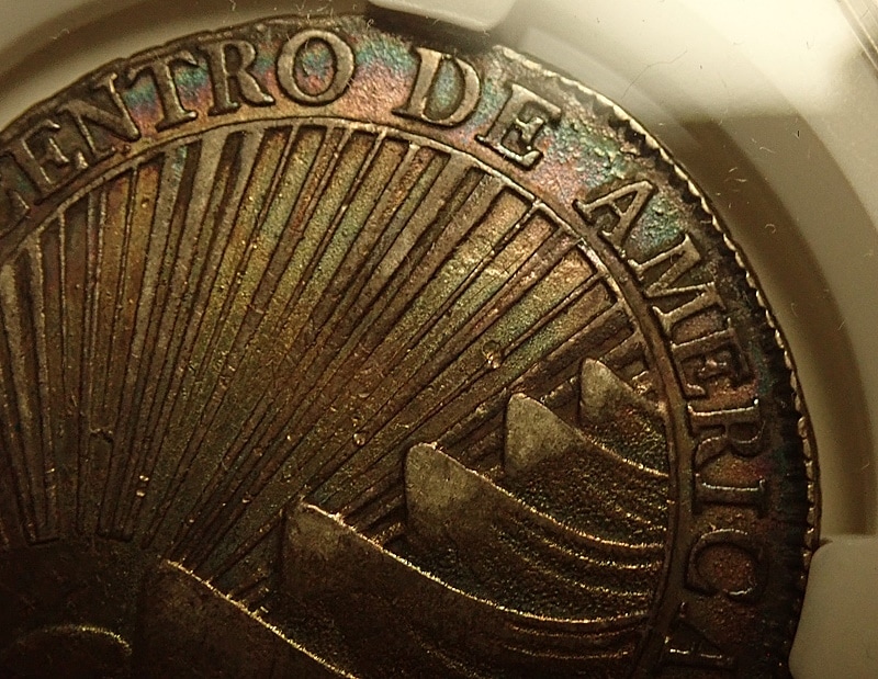 �������ꥫ��1829ǯ���쥢���ߡ�����ե�ȡ���