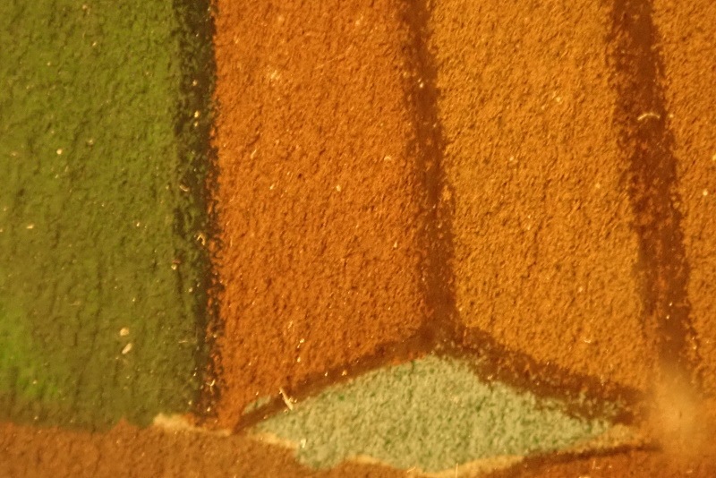 ���ȡ�Walt Disney��s Wonderful World of Color�٤��������줿���˥᡼������Inside Donald Duck�ʥ��󥵥��ɡ��ɥʥ�ɥ��å��ˡפμ����������