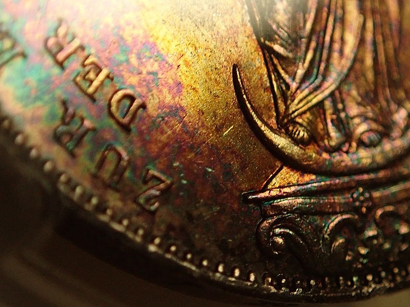 �ɥ��ĤΥХ������1855ǯ2����ƥ��ߡ�����ե�ȡ���