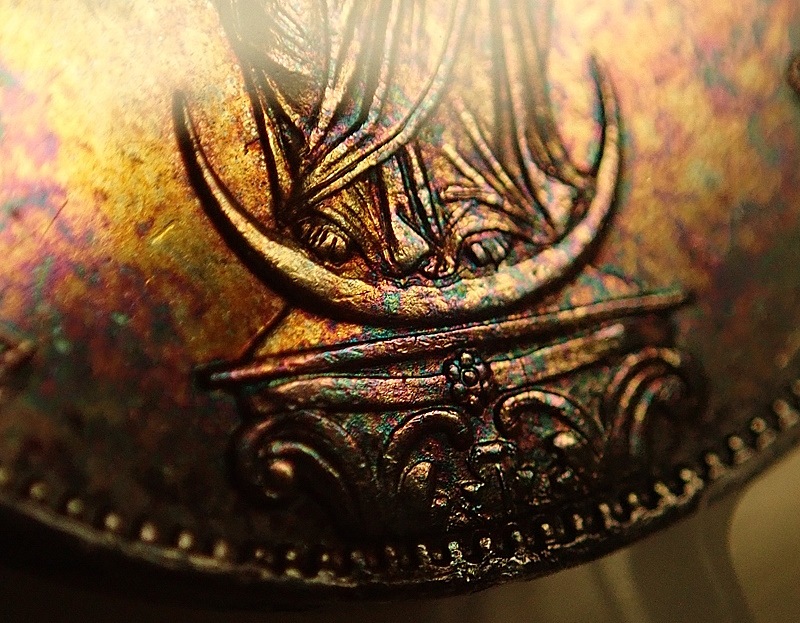 �ɥ��ĤΥХ������1855ǯ2����ƥ��ߡ�����ե�ȡ���