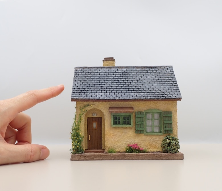 �������������ʥ��졼�Ȳ��������åץ륰�꡼������1/50������