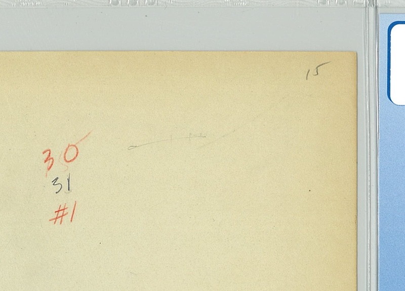 ��The Wayward Canary(�ߥå����Υ��ʥꥢ��ư)�פǻȤ�줿�ɥ������󥰡�CGC�Ҵ���Ѥߥ����������