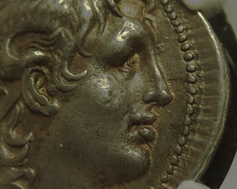 �ȥ饭�����񡢥�奷�ޥ�������BC305-281ǯ�ˤΥƥȥ�ɥ饯�޶��Ch XF