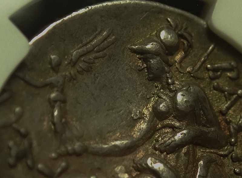 �ȥ饭�����񡢥�奷�ޥ�������BC305-281ǯ�ˤΥƥȥ�ɥ饯�޶��Ch XF