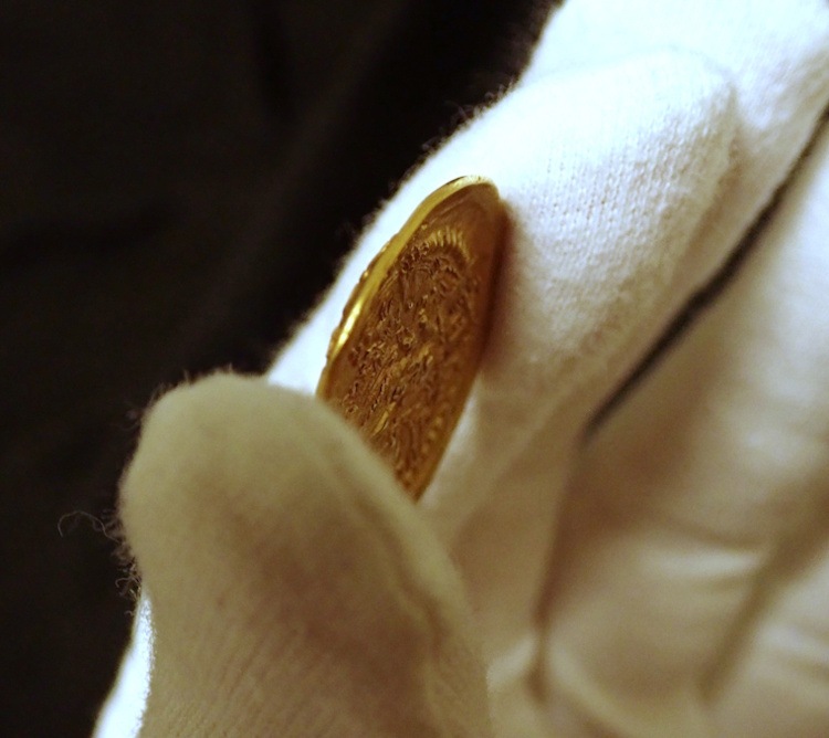 ���奤��ɡ�������Ρ�������ī�Υǥ��ʡ���̤ή��