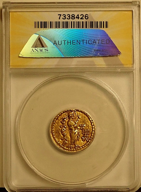 ���奤��ɡ��������ī�ե������奫������Υǥ��ʡ�����