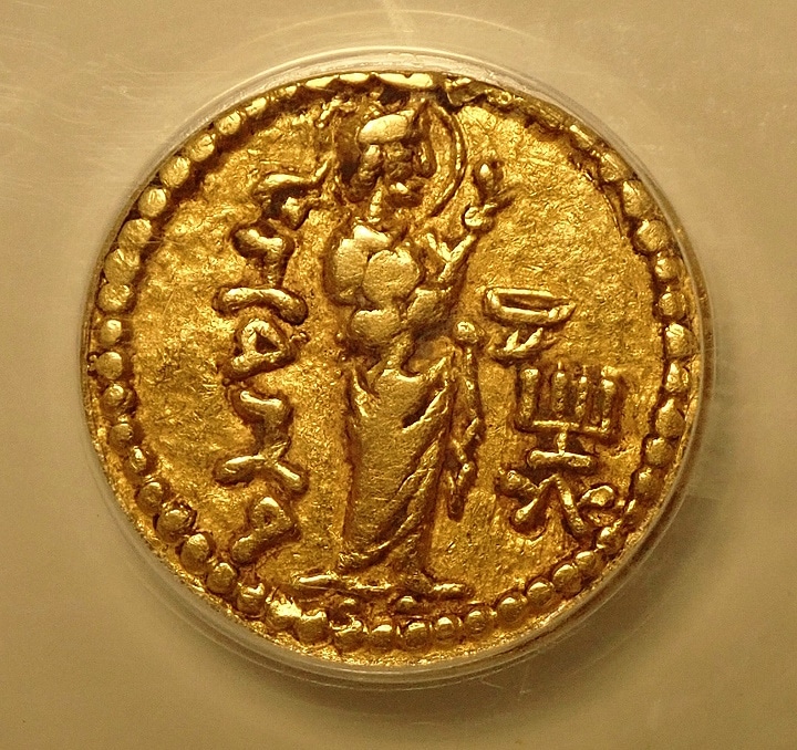 ���奤��ɡ��������ī�ե������奫������Υǥ��ʡ�����