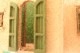 �̥����ꥢ�γ��դβȡʥۥ磻�ȡ�-1/50������-