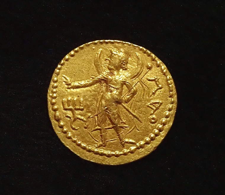 ���奤��ɡ��������ī�����˥������Υǥ��ʡ����