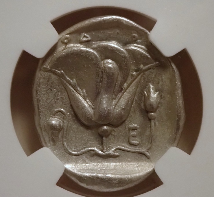 �����ɥ��祫�ꥢ���ƥȥ�ɥ饯�ޡ�BC316��305ǯ��