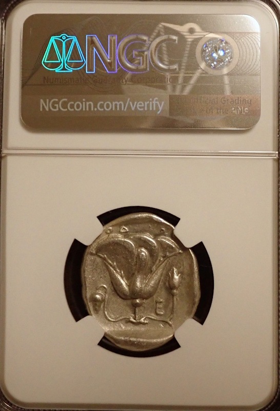 �����ɥ��祫�ꥢ���ƥȥ�ɥ饯�ޡ�BC316��305ǯ��