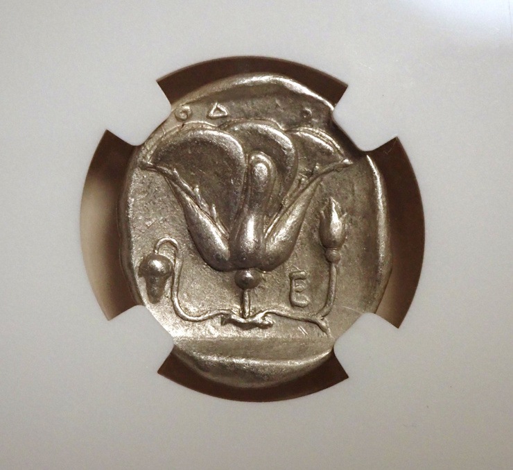 �����ɥ��祫�ꥢ���ƥȥ�ɥ饯�ޡ�BC316��305ǯ��