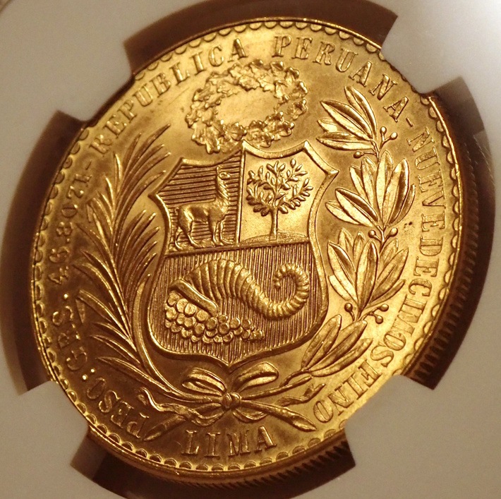 �ڥ롼100���롢1962ǯMS66�����