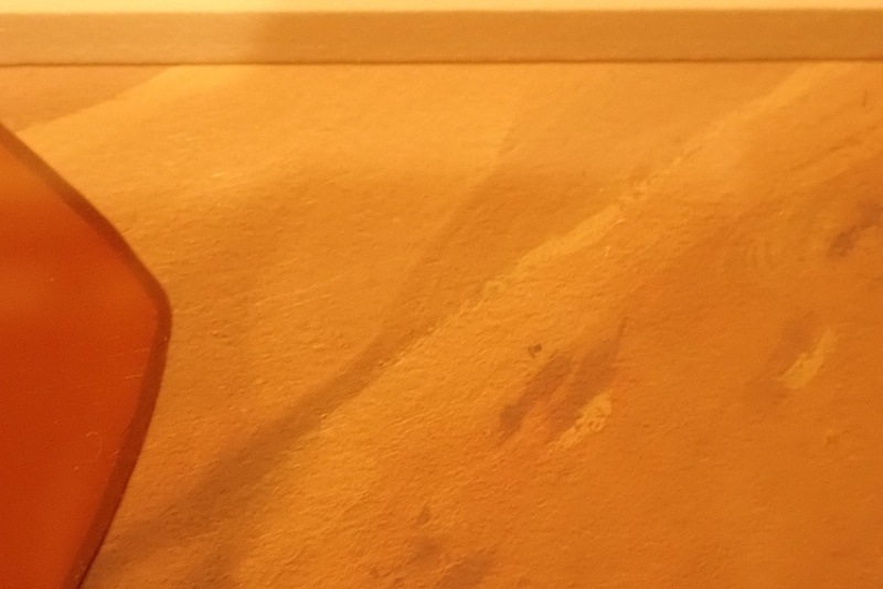 �֥饤���󥭥󥰡פ������ѥ����(�������ط���)