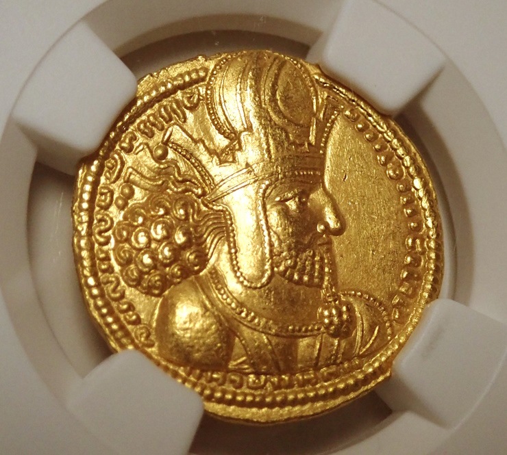 ������ī�ڥ륷�������㡼�ס���1���������Υǥ��ʡ�����