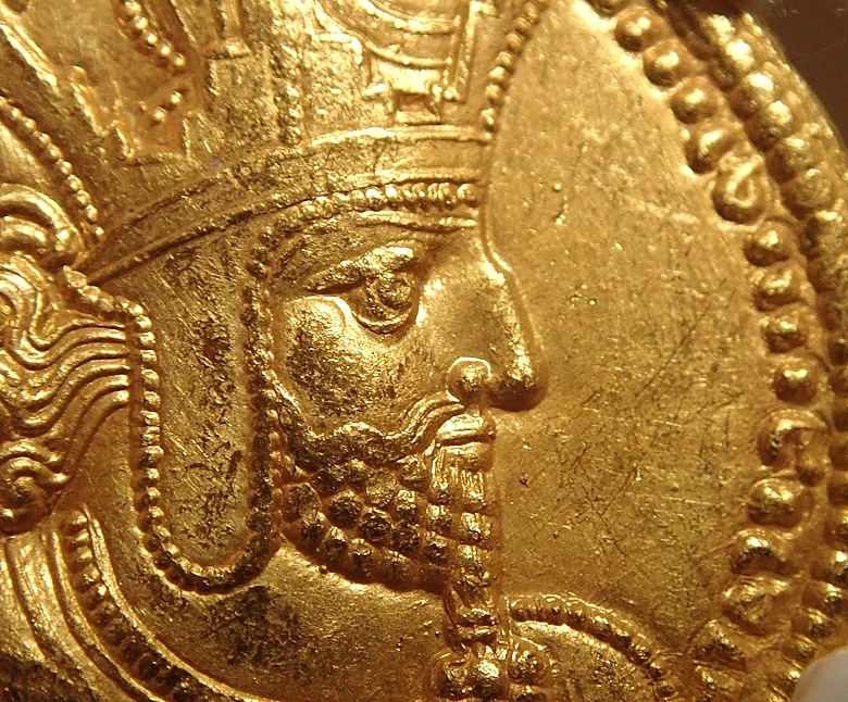 ������ī�ڥ륷�������㡼�ס���1���������Υǥ��ʡ�����