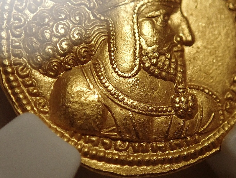 ������ī�ڥ륷�������㡼�ס���1���������Υǥ��ʡ�����