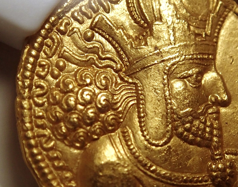 ������ī�ڥ륷�������㡼�ס���1���������Υǥ��ʡ�����