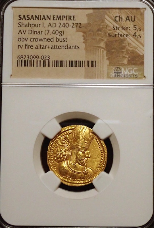 ������ī�ڥ륷�������㡼�ס���1���������Υǥ��ʡ�����