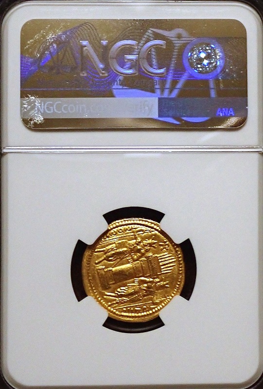 ������ī�ڥ륷�������㡼�ס���1���������Υǥ��ʡ�����