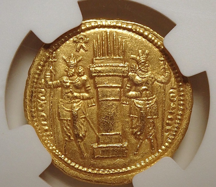 ������ī�ڥ륷�������㡼�ס���1���������Υǥ��ʡ�����