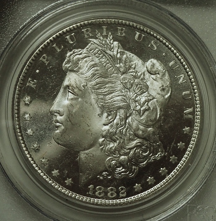 ����ꥫ1882ǯ1�ɥ��ߡ֥ǥ����ס��ץ롼�ե饤���״����ߥ��