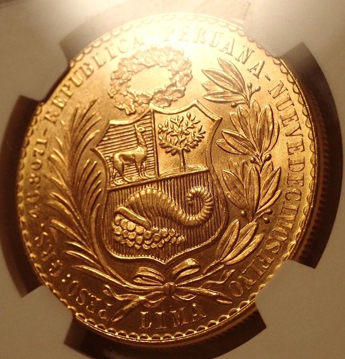 �ڥ롼100���롢1964ǯMS66�����