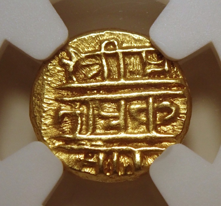 ɡʥ벦Υѥߡʡǡ顼䲦