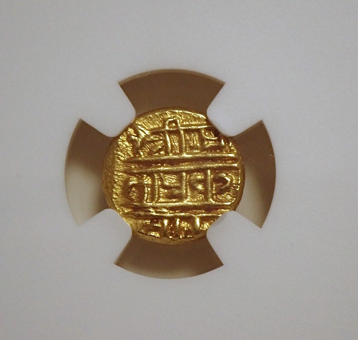 ɡʥ벦Υѥߡʡǡ顼䲦