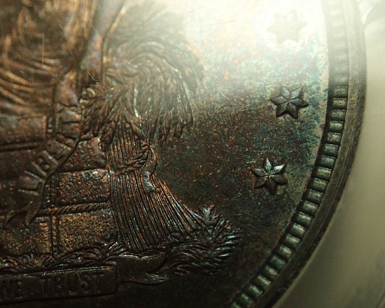 ����ꥫ1880ǯ���ǰ׶䡢�ץ롼�ղߥ��ᥪ���ꡢ����ե�ȡ���