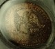 ����ꥫ1880ǯ���ǰ׶䡢�ץ롼�ղߥ��ᥪ���ꡢ����ե�ȡ���