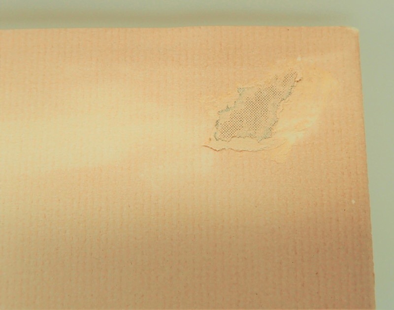 ����80��ǯ���ǲ�֥ԥΥ����פΥץ�����ྮ����