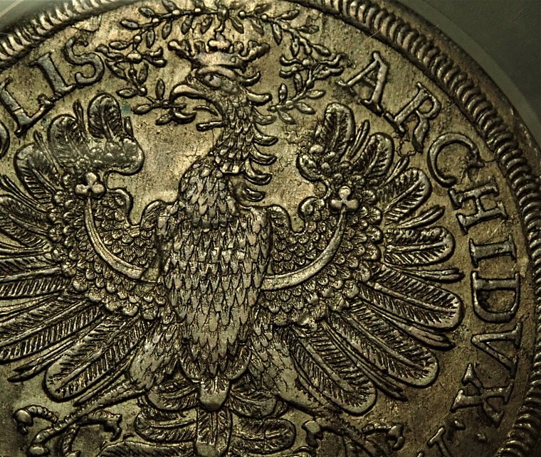 ȥꥢ21705ǯȯԡ衼1KM-1445