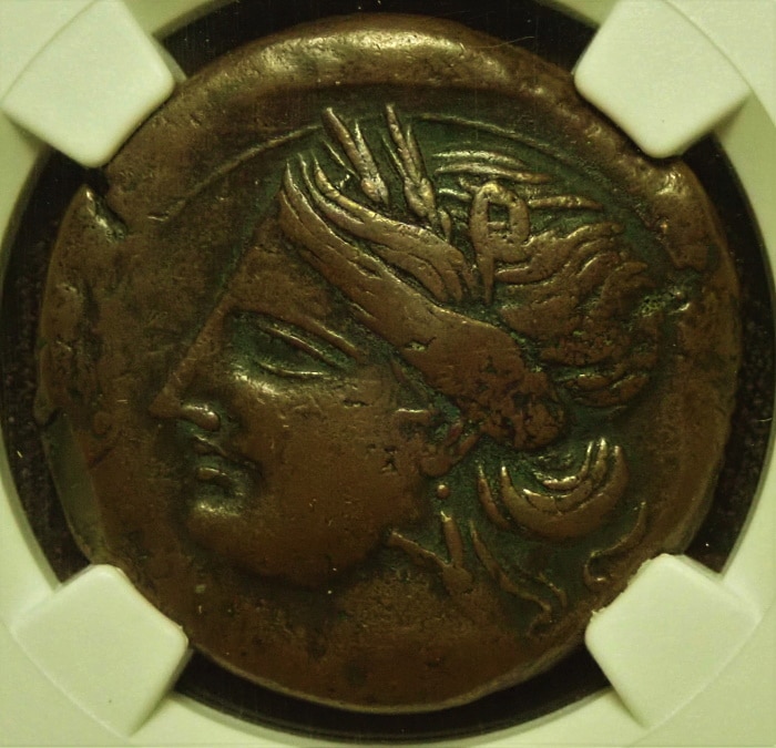 カルタゴでBC221年-210年、カルタゴ・シュケル大型青銅貨