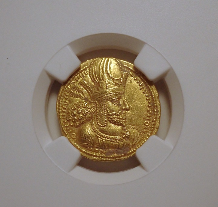 ������ī�ڥ륷�������㡼�ס��룱���Υǥ��ʡ�����Ch AU����